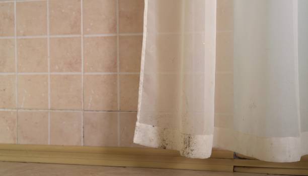 Best Mold-Related Health Consultation  in Koontz Lake, IN