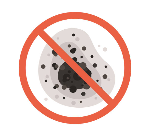 Best Mold Removal for HVAC Installations  in Koontz Lake, IN