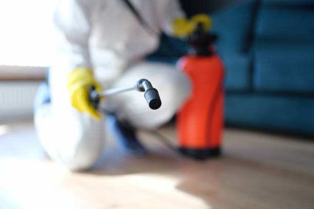 Best Mold Documentation for Insurance Claims  in Koontz Lake, IN