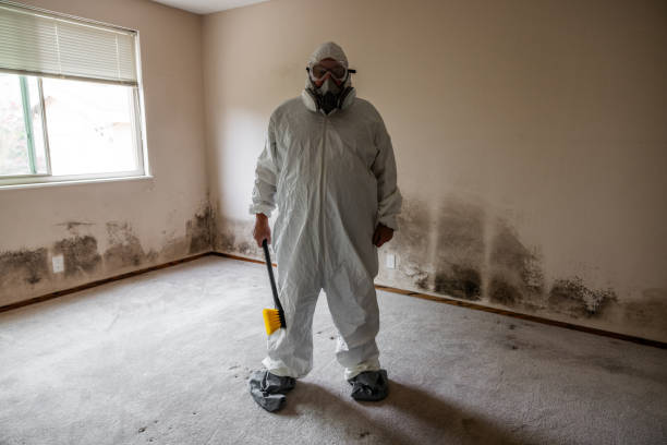 Best Real Estate Mold Inspection  in Koontz Lake, IN