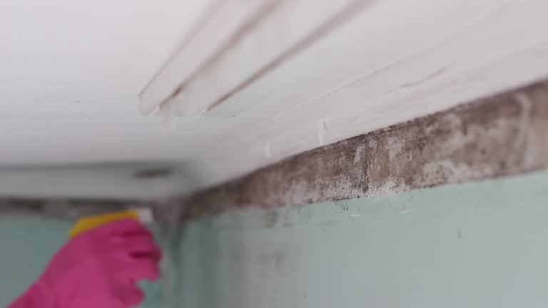 Best Air Quality Testing for Mold Spores  in Koontz Lake, IN